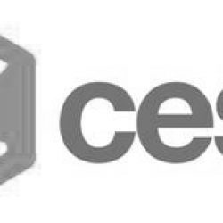 Logo Cesvi